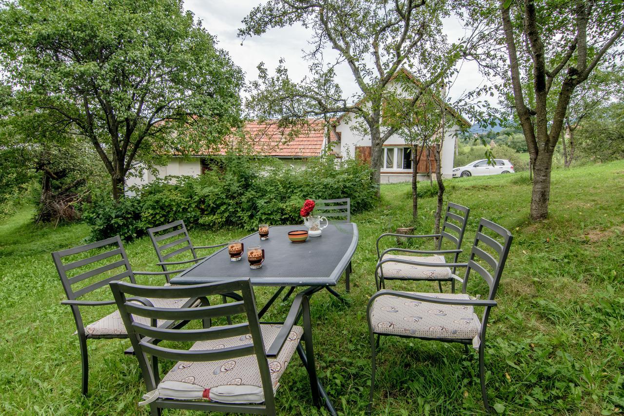 Casa Bunicii - Bran Sohodol Villa Sohodol  Екстериор снимка